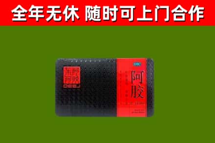 曲阜回收阿胶